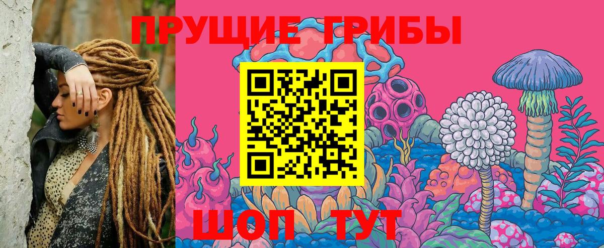 Кинешма  Псилоцибиновые грибы мицелий  Вход с VPN  Псилоцибиновые грибы Psilocybine cubensis 
