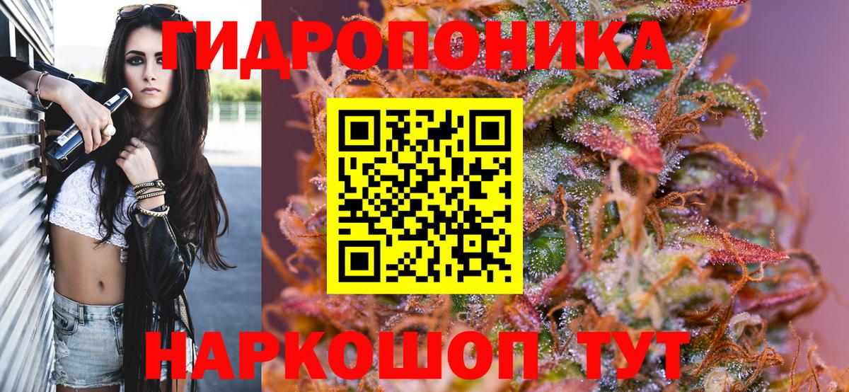 Бошки марихуана гибрид  Марихуана планчик  Кинешма  Вход с VPN  МАРИХУАНА AK-47  Шишки марихуана марихуана 